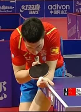 9年的猛龙 9年的猛龙