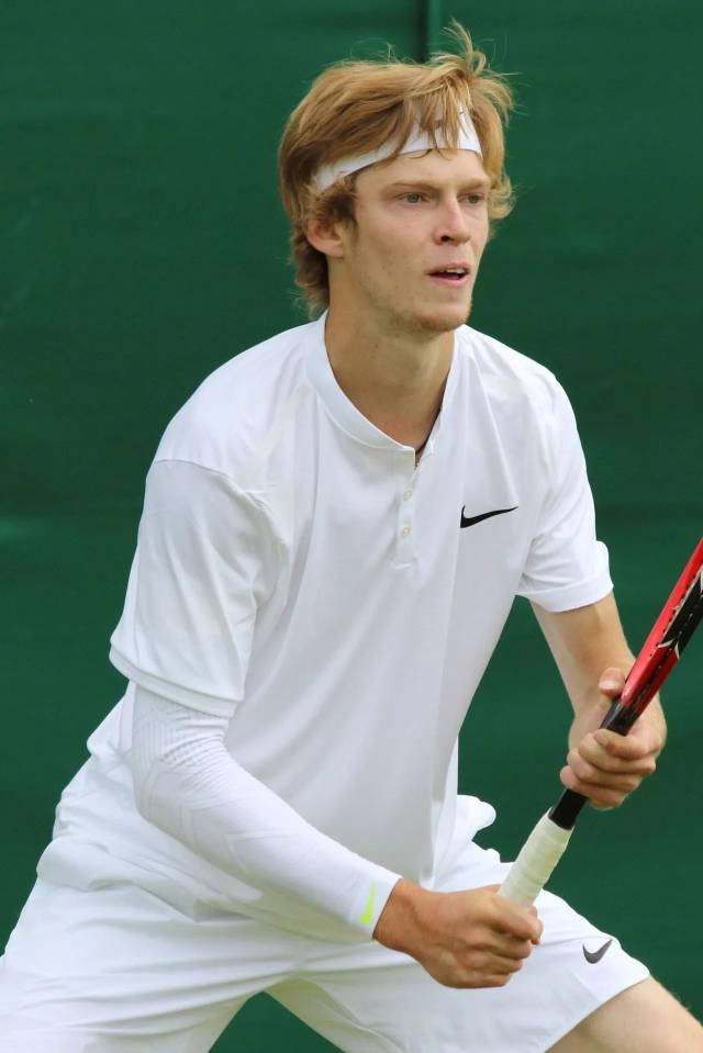 类案例显示 类案例显示