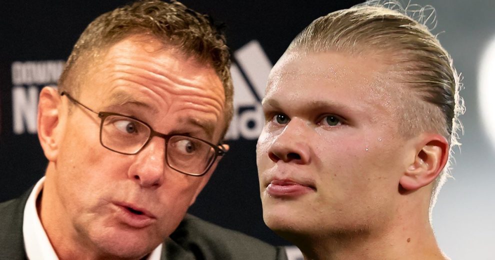 导的信心 导的信心